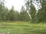 54526SAM_1030.JPG