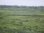 808R0015374.jpg