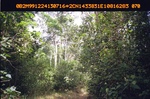 40456ANH1923.JPG