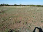 40349GUTH20111021GPS.JPG