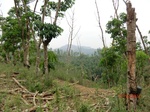 53563CIMG6914.JPG