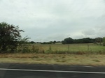 35757DSC02516.JPG