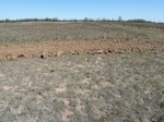 29238ARNE20110505N.JPG