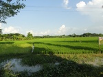 24578DSC00795.JPG
