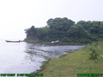 954R0015422_tag.jpg