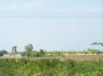 1769522042008(74).JPG
