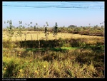 39642nEO_IMG_CIMG0388.jpg