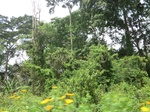 49551CIMG5888.JPG
