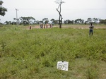 12233GT055_fallow.JPG