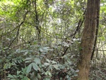 46802DSC02140.JPG
