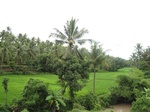 14256IMG_4596.JPG