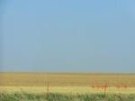 29908CIMG1478.JPG