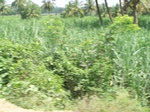 17576100_2513.JPG