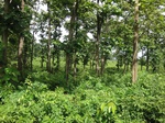 21314DSC00699.JPG
