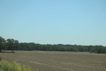 2024-06-17_21-39-41_DB3068A5-D658-44A0-A5A4-4FBF040B7242.jpeg