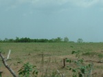 51543P1000713.JPG