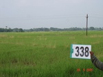75200338c-rainfed-agriculture-rice.jpg
