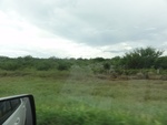 24763DSC00928.JPG
