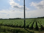 31225CIMG1087.JPG