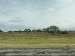 35893DSC02661.JPG