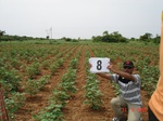 6018008b-rainfed-mixed-crop-cotton-dominant-sorgam-fallows.jpg