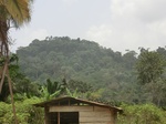 49016CIMG5353.JPG