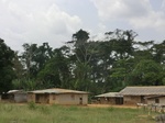 49526CIMG5863.JPG