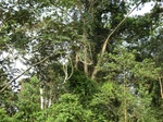 48046CIMG4383.JPG