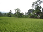 13782IMG_4044.JPG