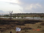 11026gt-107-wetland-very-large-water-body-02.jpg
