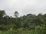 48819CIMG5156.JPG