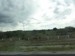 24810DSC00978.JPG