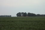 2024-08-05_16-08-58_12D40B5D-5813-4171-8BB9-EF8B998038DC.jpeg