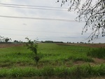 31641CIMG1509.JPG