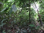 45721CIMG2806.JPG