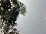 46544CIMG0833.JPG