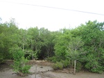 15487IMG_4557.JPG