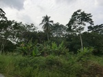 49652CIMG5989.JPG