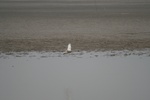 4150IMG_8787.JPG