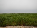 54342DSCN1616.JPG