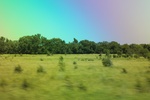 2024-06-17_21-39-41_8AF7782A-AC89-4001-9024-5A7D707FFE3F.jpeg