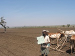 9343gt050a-soils-black-cotton.gif