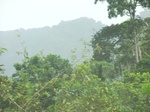 47683CIMG4020.JPG