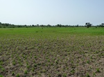 18937P1000781.JPG