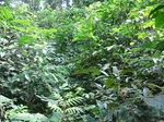 45715CIMG2800.JPG