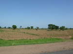 19330P1010176.JPG