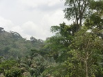 49458CIMG5795.JPG
