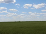 29018CIMG0717.JPG