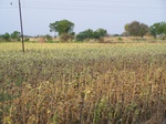 1762722042008(107).JPG