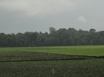 22027DSC00146.JPG